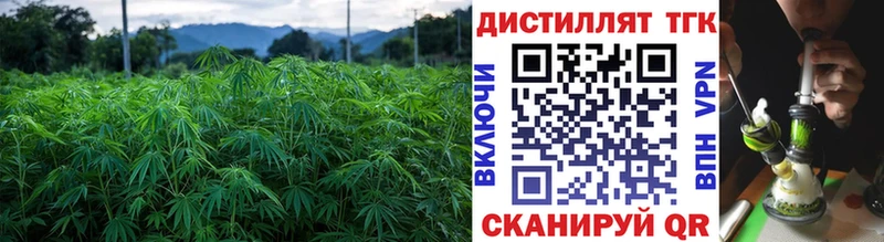 ТГК Wax  Дедовск 