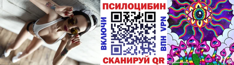 Псилоцибиновые грибы мицелий  Дедовск 